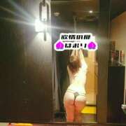 ヒメ日記 2025/04/11 05:29 投稿 はおり 恋愛生欲情の扉