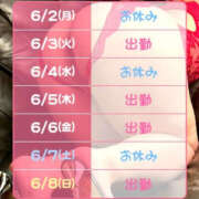 ヒメ日記 2025/06/03 05:19 投稿 はおり 恋愛生欲情の扉