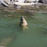 ヒメ日記 2025/06/29 17:09 投稿 はおり 恋愛生欲情の扉