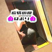 ヒメ日記 2025/07/03 05:49 投稿 はおり 恋愛生欲情の扉