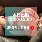 ヒメ日記 2025/07/24 05:49 投稿 はおり 恋愛生欲情の扉