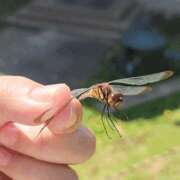 ヒメ日記 2025/10/04 21:29 投稿 はおり 恋愛生欲情の扉