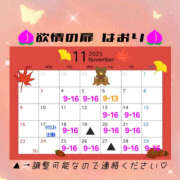 ヒメ日記 2025/10/27 19:29 投稿 はおり 恋愛生欲情の扉