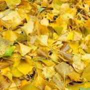 ヒメ日記 2025/11/11 15:49 投稿 はおり 恋愛生欲情の扉