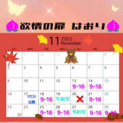 ヒメ日記 2025/11/11 17:49 投稿 はおり 恋愛生欲情の扉