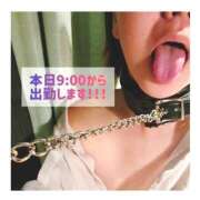 ヒメ日記 2025/12/02 06:59 投稿 はおり 恋愛生欲情の扉