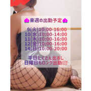 はおり オススメオプは、、 恋愛生欲情の扉