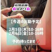 ヒメ日記 2026/02/02 20:29 投稿 はおり 恋愛生欲情の扉