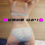 ヒメ日記 2026/03/04 10:59 投稿 はおり 恋愛生欲情の扉