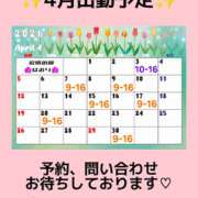 ヒメ日記 2026/03/17 22:19 投稿 はおり 恋愛生欲情の扉