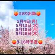 ヒメ日記 2026/04/30 21:39 投稿 はおり 恋愛生欲情の扉