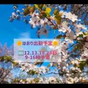 ヒメ日記 2026/05/08 16:39 投稿 はおり 恋愛生欲情の扉