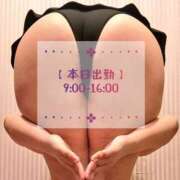 ヒメ日記 2026/06/11 07:14 投稿 はおり 恋愛生欲情の扉