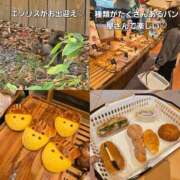 ヒメ日記 2026/10/22 10:39 投稿 はおり 恋愛生欲情の扉