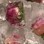 ヒメ日記 2025/05/27 16:33 投稿 しおり 京都出張メンズエステChou Chou（シュシュ)