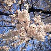 ヒメ日記 2025/04/04 16:16 投稿 すい 素人系イメージSOAP彼女感大宮館