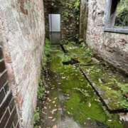 ヒメ日記 2024/12/21 10:15 投稿 紅(べに) 厚木奥様Life