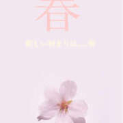 ヒメ日記 2025/04/10 12:18 投稿 紅(べに) 厚木奥様Life