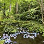 紅(べに) 大自然を欲してる(⸝⸝ᵕᴗᵕ⸝⸝) 厚木奥様Life