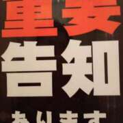 ヒメ日記 2024/03/31 13:23 投稿 しのぶ モアグループ神栖人妻花壇