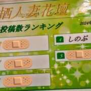 ヒメ日記 2024/04/17 11:05 投稿 しのぶ モアグループ神栖人妻花壇