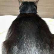 ヒメ日記 2025/01/19 18:35 投稿 しのぶ モアグループ神栖人妻花壇