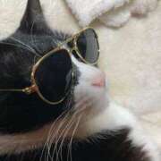 ヒメ日記 2025/02/09 18:44 投稿 しのぶ モアグループ神栖人妻花壇