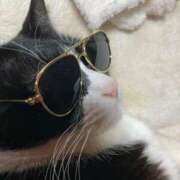 ヒメ日記 2025/02/22 15:06 投稿 しのぶ モアグループ神栖人妻花壇