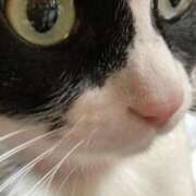 ヒメ日記 2025/03/07 01:53 投稿 しのぶ モアグループ神栖人妻花壇