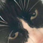 ヒメ日記 2025/03/18 23:51 投稿 しのぶ モアグループ神栖人妻花壇