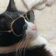 ヒメ日記 2025/03/20 23:49 投稿 しのぶ モアグループ神栖人妻花壇