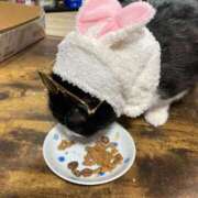 ヒメ日記 2025/04/06 22:23 投稿 しのぶ モアグループ神栖人妻花壇