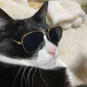 ヒメ日記 2025/04/18 19:18 投稿 しのぶ モアグループ神栖人妻花壇