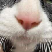 ヒメ日記 2025/07/28 17:18 投稿 しのぶ モアグループ神栖人妻花壇