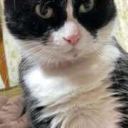 ヒメ日記 2025/10/17 19:14 投稿 しのぶ モアグループ神栖人妻花壇