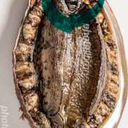 ヒメ日記 2025/12/19 07:12 投稿 しのぶ モアグループ神栖人妻花壇