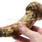 ヒメ日記 2026/02/14 22:06 投稿 しのぶ モアグループ神栖人妻花壇