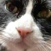 ヒメ日記 2026/03/29 23:45 投稿 しのぶ モアグループ神栖人妻花壇