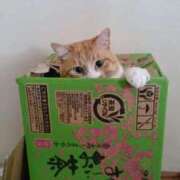 ヒメ日記 2026/04/13 03:20 投稿 しのぶ モアグループ神栖人妻花壇