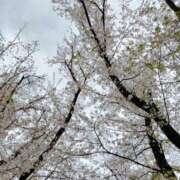 本田 気分転換♪ モアグループ所沢人妻城