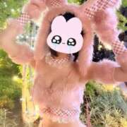 ヒメ日記 2025/10/29 16:57 投稿 めい☆極上の癒やしをあなたに JKサークル