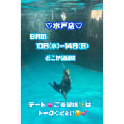 ヒメ日記 2025/08/20 16:50 投稿 うい ドリーム水戸