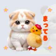 ヒメ日記 2024/12/12 09:42 投稿 あやの 熟女の風俗最終章 高崎店