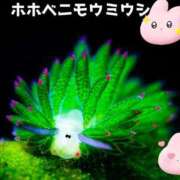 ヒメ日記 2025/05/30 09:28 投稿 あやの 熟女の風俗最終章 高崎店