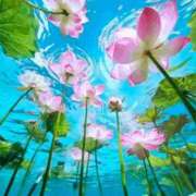 ヒメ日記 2025/07/12 18:00 投稿 あやの 熟女の風俗最終章 高崎店