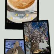 ヒメ日記 2026/02/24 11:28 投稿 あやの 熟女の風俗最終章 高崎店