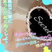 ヒメ日記 2023/10/14 09:01 投稿 せれな ぽっちゃり巨乳専門木更津君津ちゃんこin千葉