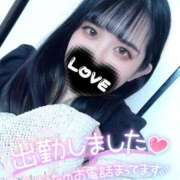 ヒメ日記 2024/12/12 15:03 投稿 せれな ぽっちゃり巨乳専門木更津君津ちゃんこin千葉