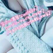 ヒメ日記 2024/12/12 17:46 投稿 せれな ぽっちゃり巨乳専門木更津君津ちゃんこin千葉