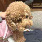 ヒメ日記 2025/10/24 00:24 投稿 梨美（りみ） チューリップ福井本館